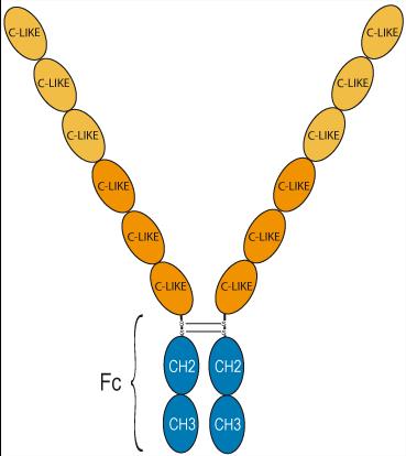 Experimental Validation Results for Rilonacept